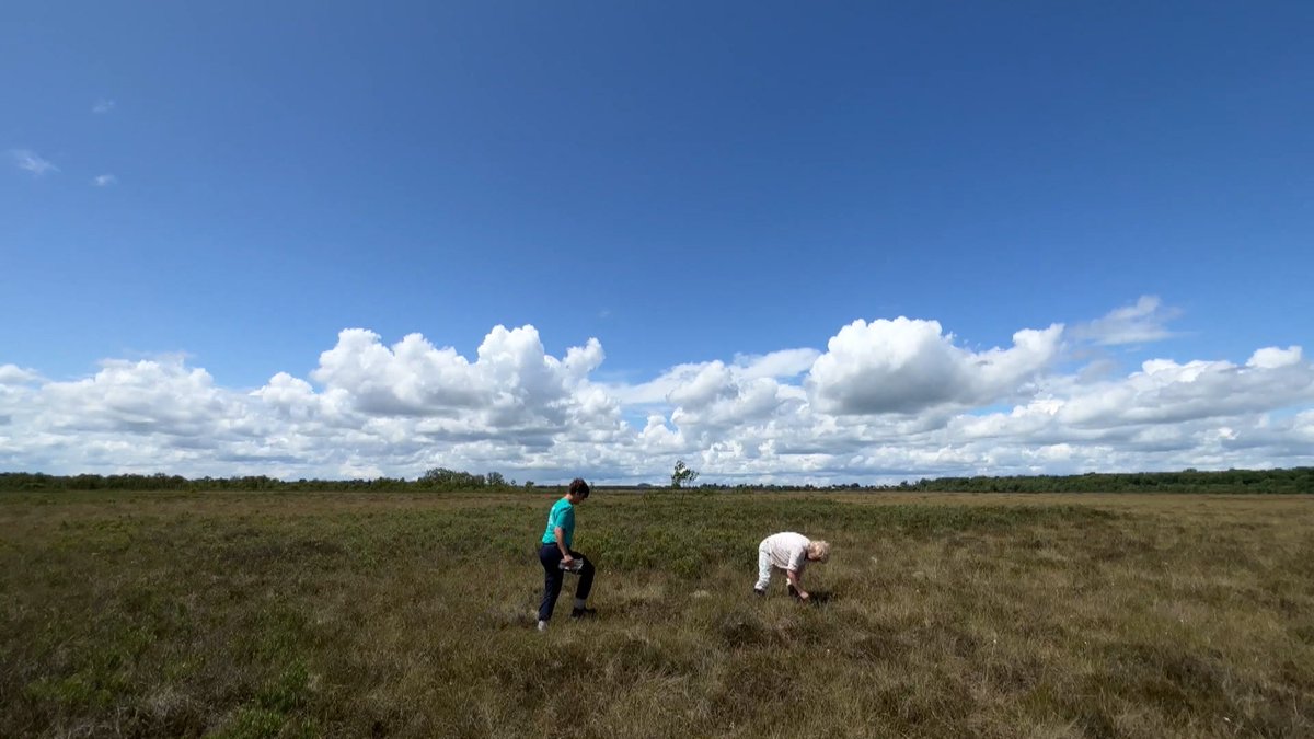 RTÉ Nationwide tweet media