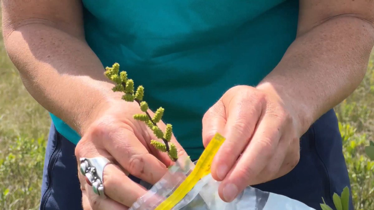 RTÉ Nationwide tweet media