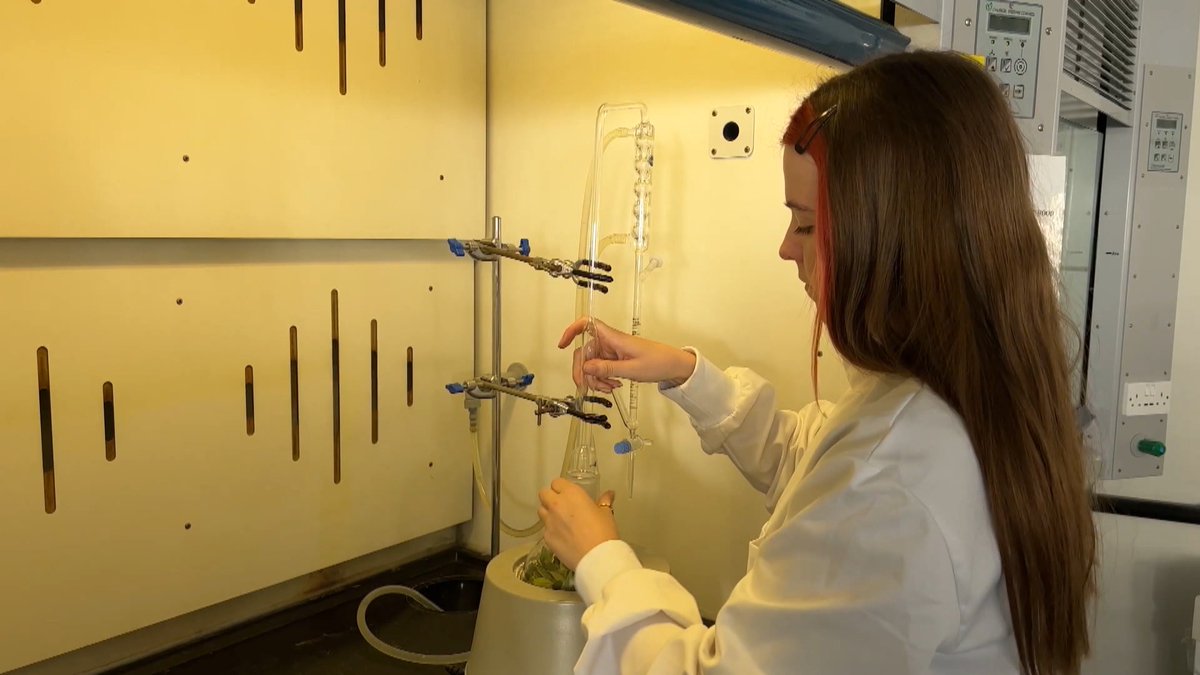 RTÉ Nationwide (@rtenationwide) on Twitter photo We learn about a groundbreaking project which aims to 'unlock nature's pharmacy' from bogland species at
<a href="/NatProTCD/">NatProCentre</a> on #RTENationwide this evening, Friday 2nd February on <a href="/RTEOne/">RTÉ One</a> at 7pm & RTE1+1 at 8pm <a href="/rte/">RTÉ</a> <a href="/tcddublin/">Trinity College Dublin</a> <a href="/DublinHour/">#DublinHour</a> <a href="/dublin_ie/">Dublin</a> RT We learn about a groundbreaking project which aims to 'unlock nature's pharmacy' from bogland species at
<a href="/NatProTCD/">NatProCentre</a> on #RTENationwide this evening, Friday 2nd February on <a href="/RTEOne/">RTÉ One</a> at 7pm & RTE1+1 at 8pm <a href="/rte/">RTÉ</a> <a href="/tcddublin/">Trinity College Dublin</a> <a href="/DublinHour/">#DublinHour</a> <a href="/dublin_ie/">Dublin</a> RT