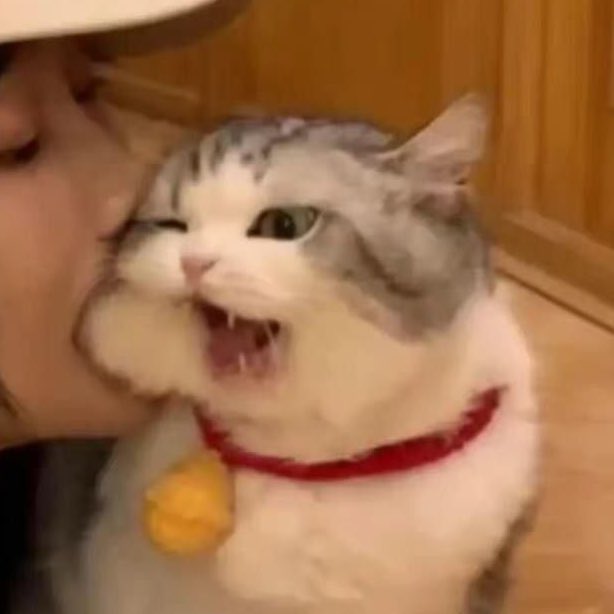 ต้องโดนงั่ม!