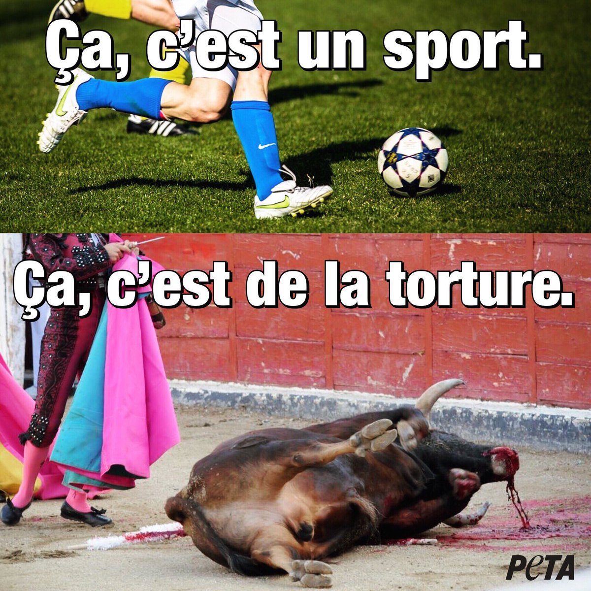 PETA_France's tweet photo. #stopcorrida ✋ https://t.co/mRjcsDLTkj