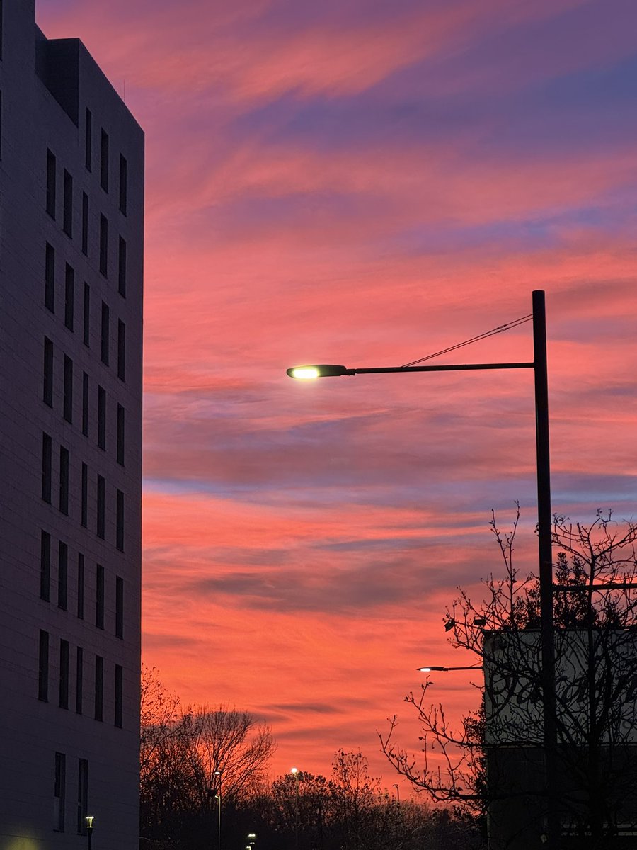 Gadgetforentertainment tweet media