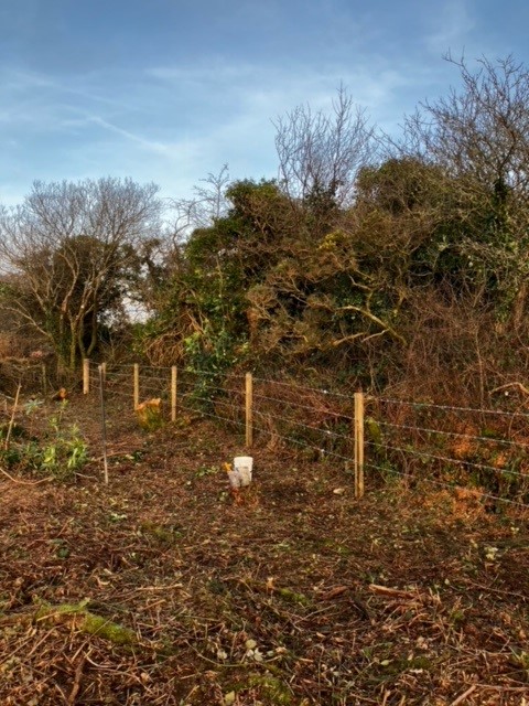 NE_DCIoS's tweet photo. Fixing fences and gates at Goss Moor National Nature Reserve has kept the team and volunteers busy this week #nature #Cornwall #conservation #Volunteers https://t.co/AKVmum4tIC