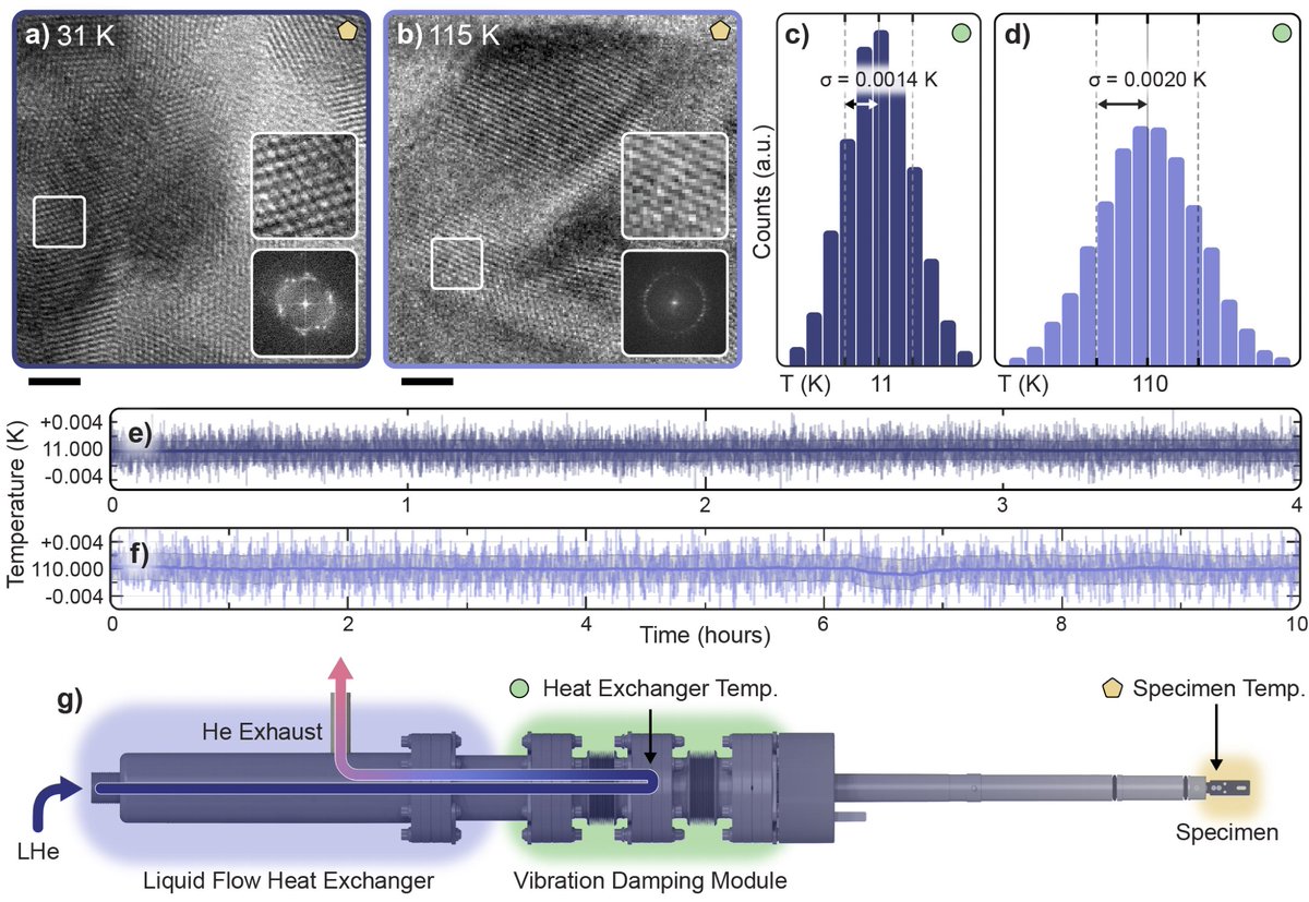 Robert Hovden tweet media