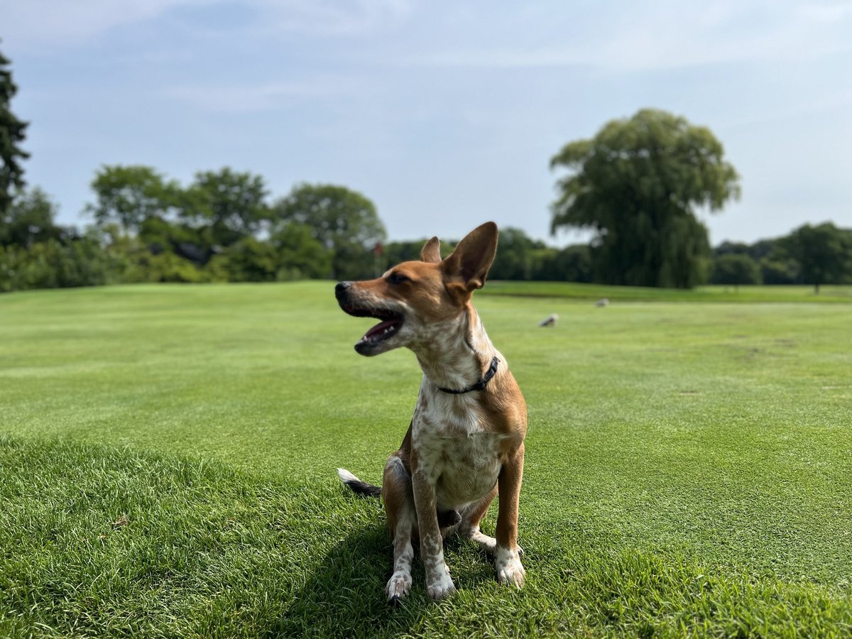 Justin W. Prescott, CTEM tweet media