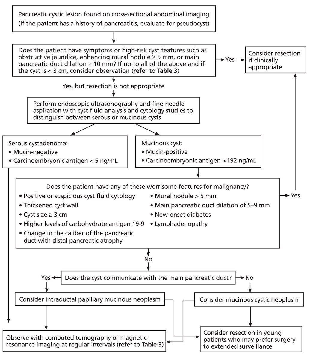 Chatterjee_MD's tweet photo. In this #CCJM review we look at the Diagnosis and Management of commonly encountered #Pancreas Cystic Lesions 🍇for the Non-Gastroenterologist/PCP 👨⚕️
📑🔗https://t.co/V4gL7Hu2D1
@ChahalPrabhleen @TylerStevensMD @JPAchkarMD @Mud_Fud @CCF_IMCHIEFS #CCFGIFELLOWS #GITwitter #MedEd https://t.co/0hdo05IPXT