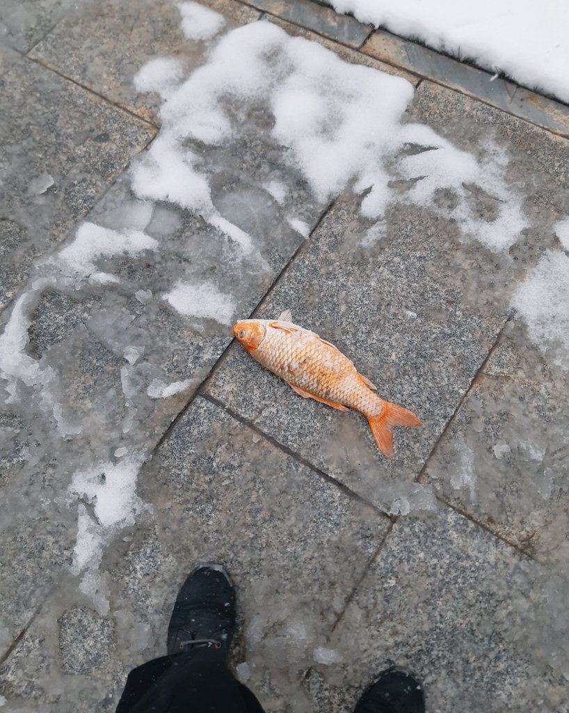 لیان🌥 tweet media