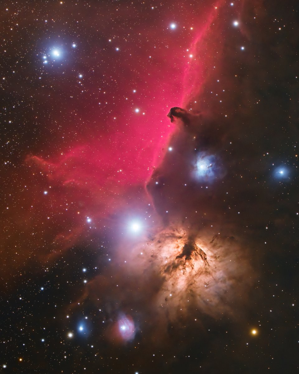 AstroBackyard's tweet photo. The Horsehead Nebula 📷

My latest photo of this spectacular region of the night sky was taken back in November 2022. 

I used a rather humble astrophotography setup from the backyard to create a version of the Horsehead Nebula that resembled the ones I saw in astronomy books.

The image includes just over 7 hours of total exposure time over two nights. I can't wait to try this one again with a little more focal length! 📷

The Camera: https://t.co/4gZODYvv2p
Telescope (Similar): https://t.co/qnh6mB8XUV
Tracking Mount: https://t.co/rYFQjHSTIJ