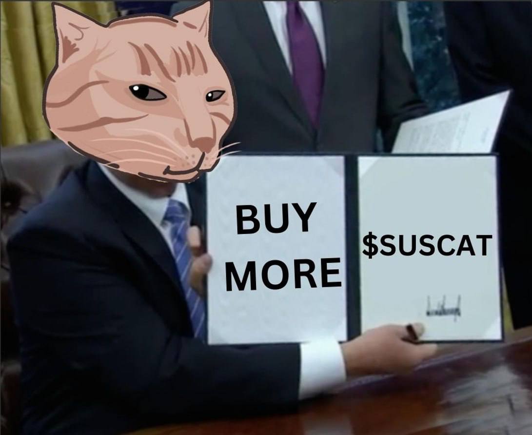 MrFreshSusCat's tweet photo. @ChadCaff #MrFresh is not amused if you haven't aped $SUSCAT https://t.co/LtDgry5O9b