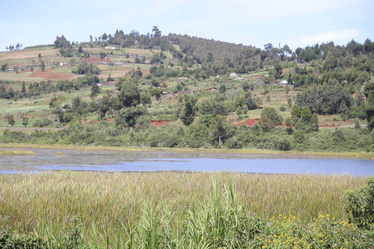 World Wetlands Day Celebrations at Lake Narasha (Timboroa Dam), Uasin Gishu County. CEO Prof. Julius Tanui led a team of staff to participate in the event today.