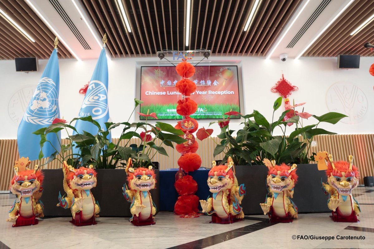 FAO Director-General QU Dongyu tweet media