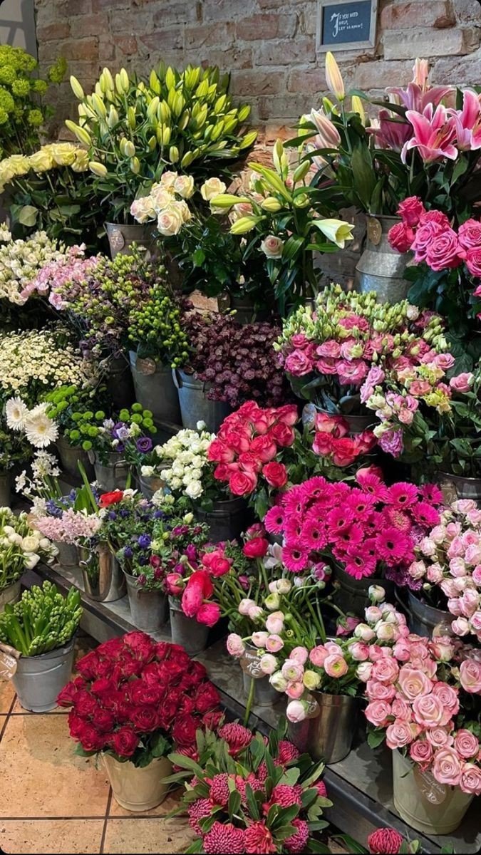 softdeIicacy's tweet image. colorful flowers ♡.