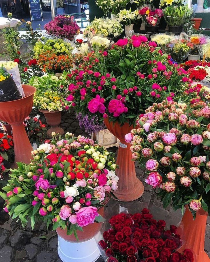 softdeIicacy's tweet image. colorful flowers ♡.