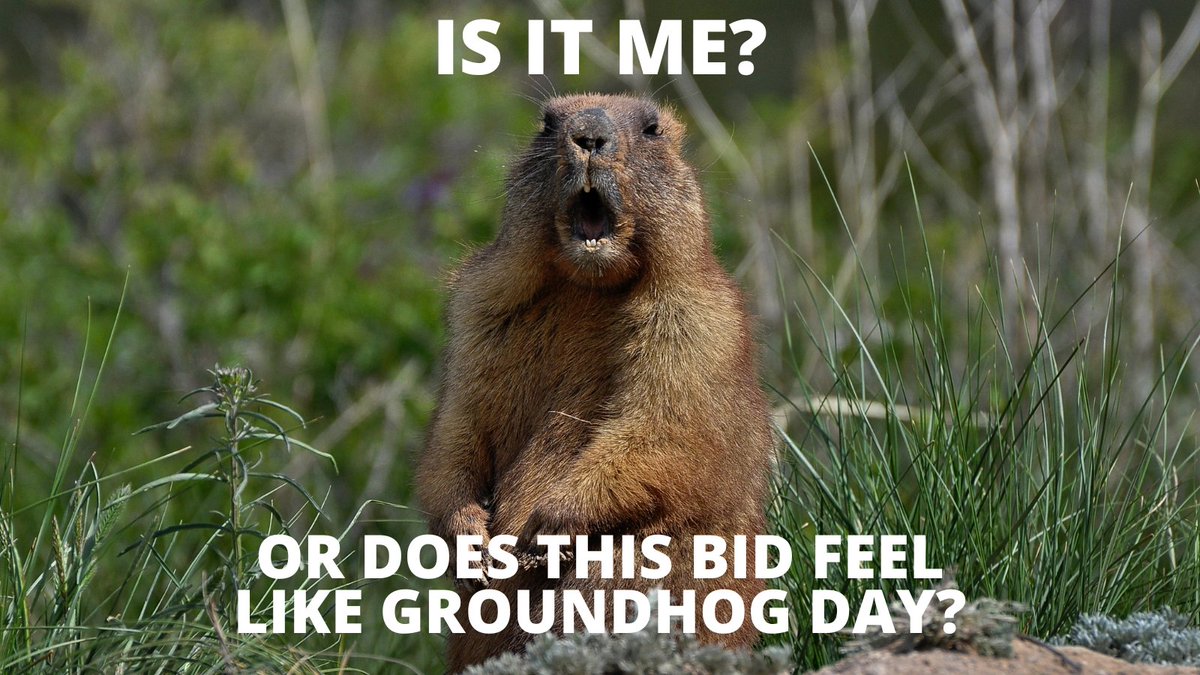 Find yourself stuck in a loop of chasing multiple opportunities and not getting the wins you were expecting? 😩

Here's how to re-think your approach and make smarter bid/no-bid decisions: bit.ly/487hArL

#GroundhogDay #BusinessDevelopment #GovCon