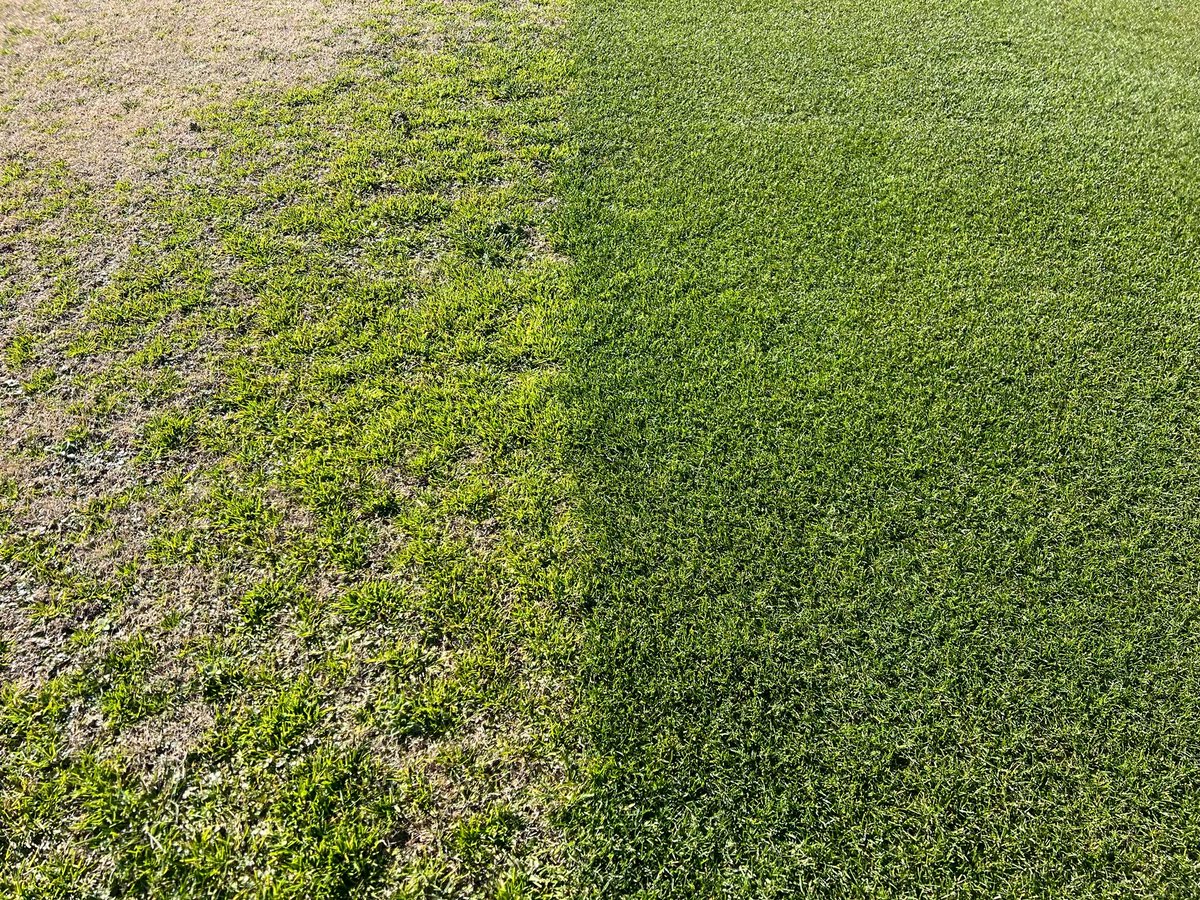 Jim Brosnan, Ph.D. tweet media