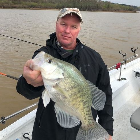 Bass Pro Pyramid tweet media