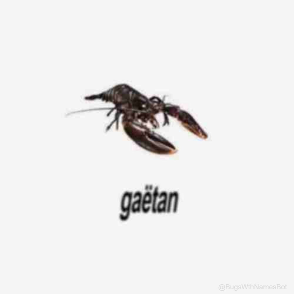 Bugs Bot (@bugswthnamesbot) on Twitter photo 