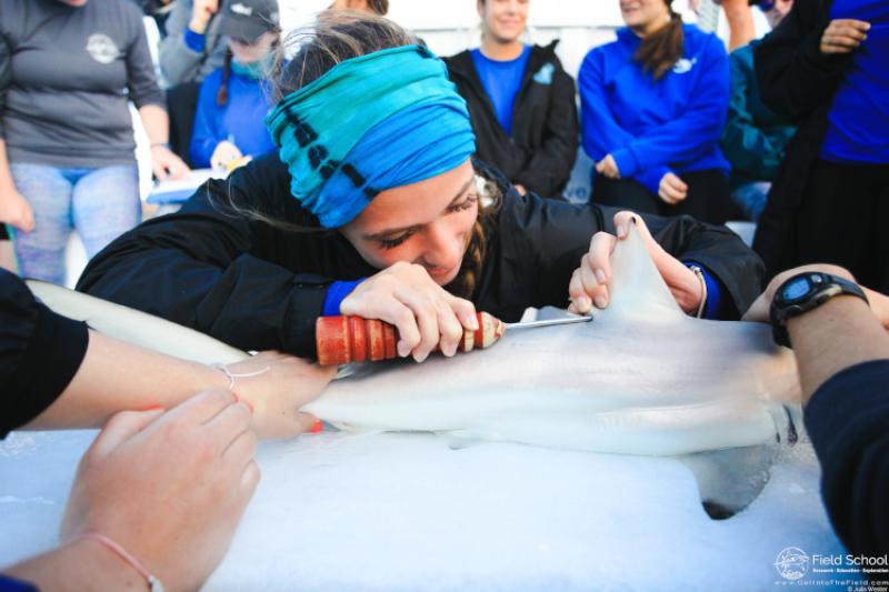 NOAAFisheriesSE's tweet photo. From land-locked Pennsylvania to the cerulean waters of Miami, our Communications Intern has been on a journey to combine her passions for art &amp; #science into a career. As part of our "Faces" series, meet Hannah: https://t.co/ffTZIopBss

#NOAASoutheastScience
📷: Field School https://t.co/TedIsRNjct