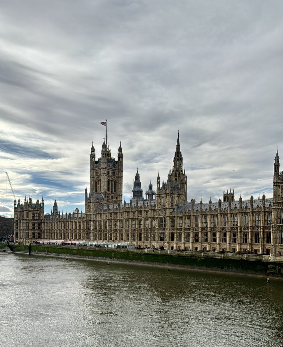 #houseofparliament #london #photos #londonphotos #streetphotography