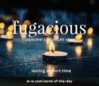 lovehappiness__'s tweet photo. #Fugacious ~ make the most of it ~
💙💛 https://t.co/w4AGxPZ7qE