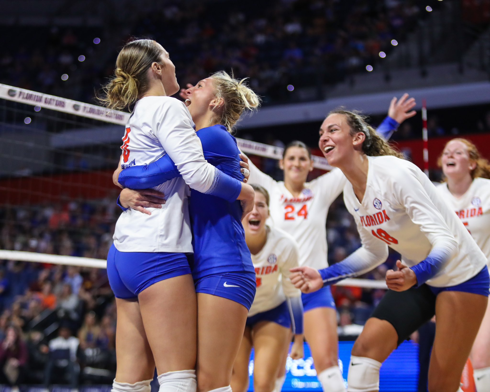 Gators Volleyball GatorsVB X