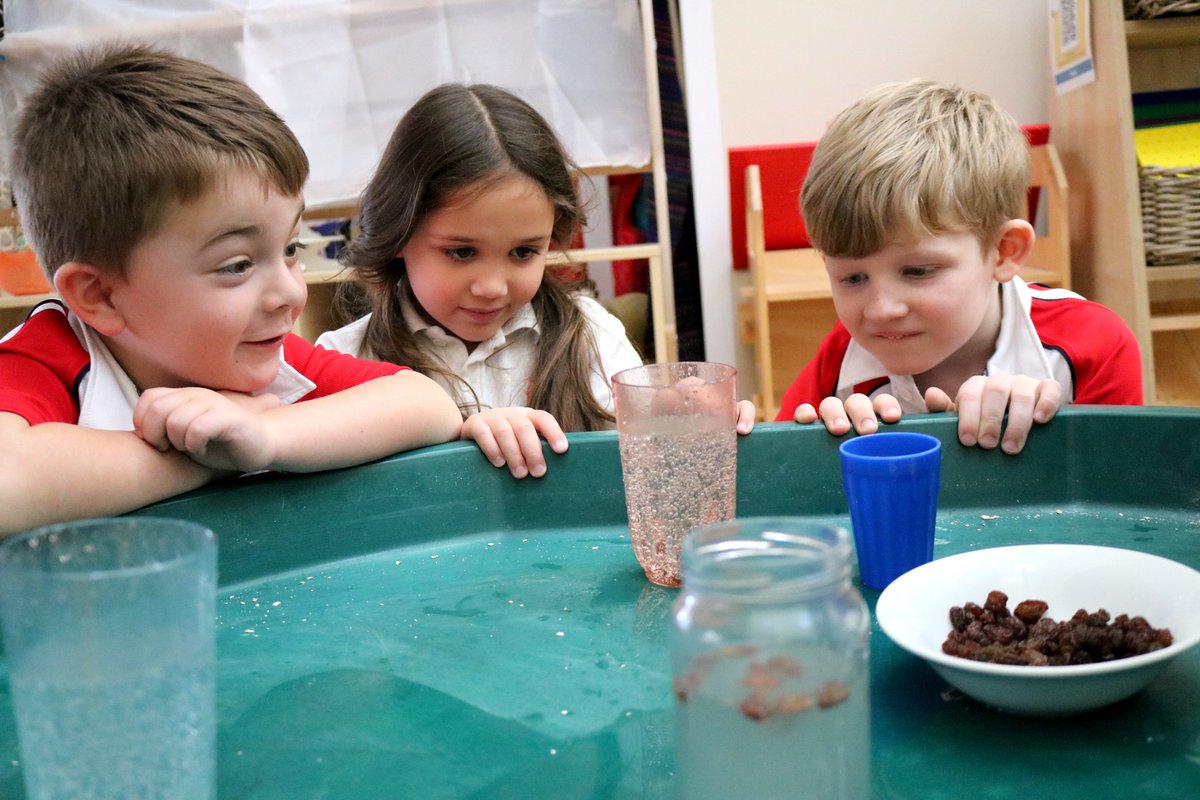 Eagle House Early Years tweet media