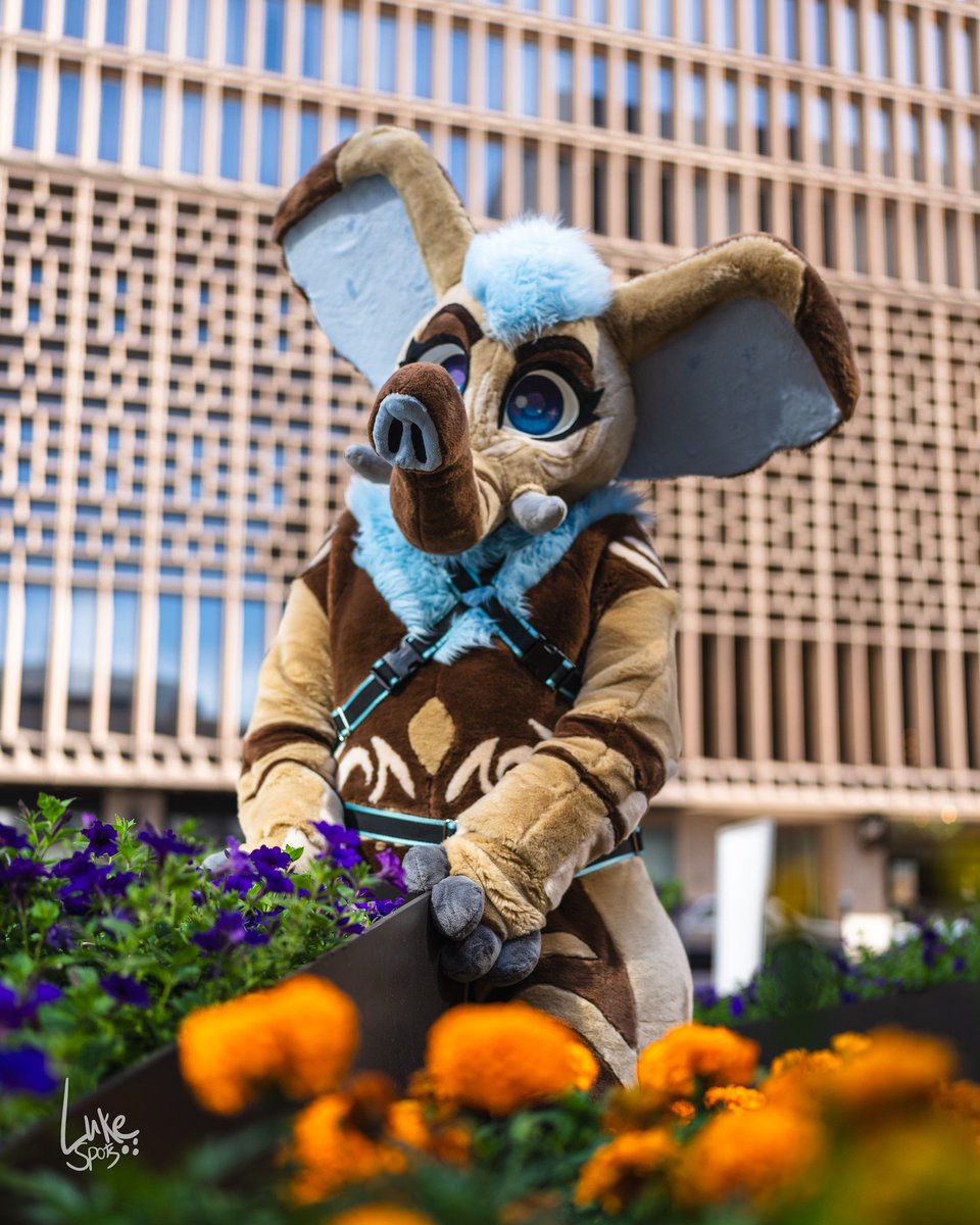 Happy Fursuit Friday! 
What are you doing down there dont you want to come say hi?! 

🪡:@/PyropeCostumes
📸: @/luke_spots