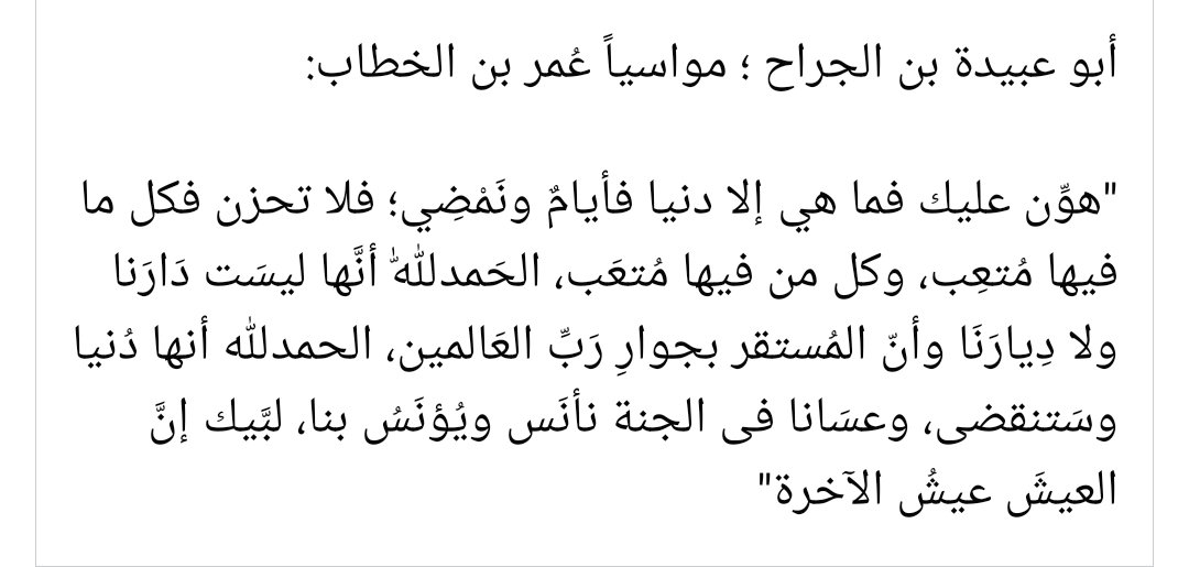 Sally Shoukry tweet media