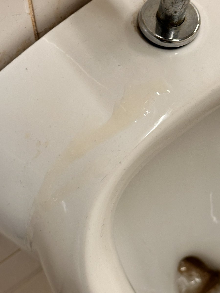 I did #jerkoff in a #publictoilet for my little pig @kinkyallbust 🐷 he came to lick it off 

#publicjerk #public  #exhibgay #cum #publicGay #spycam #publicpiss #gaypiss #pisskink #cum #slave #slut #master #sub #filthypig #pigslave #urinal #cumwhore #cumtag #publicgay #cumtaged