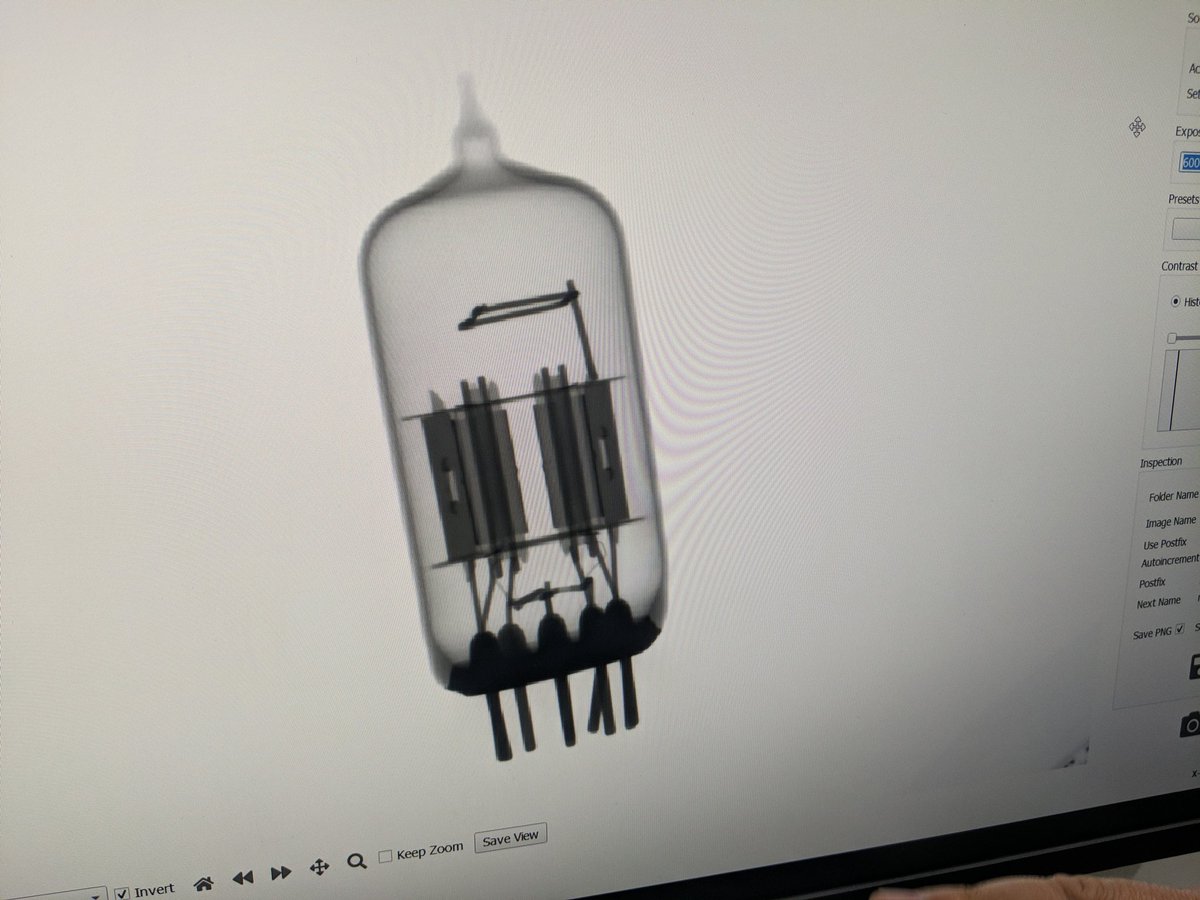 Devin's Bench tweet media