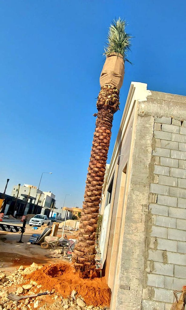 #البزنس90