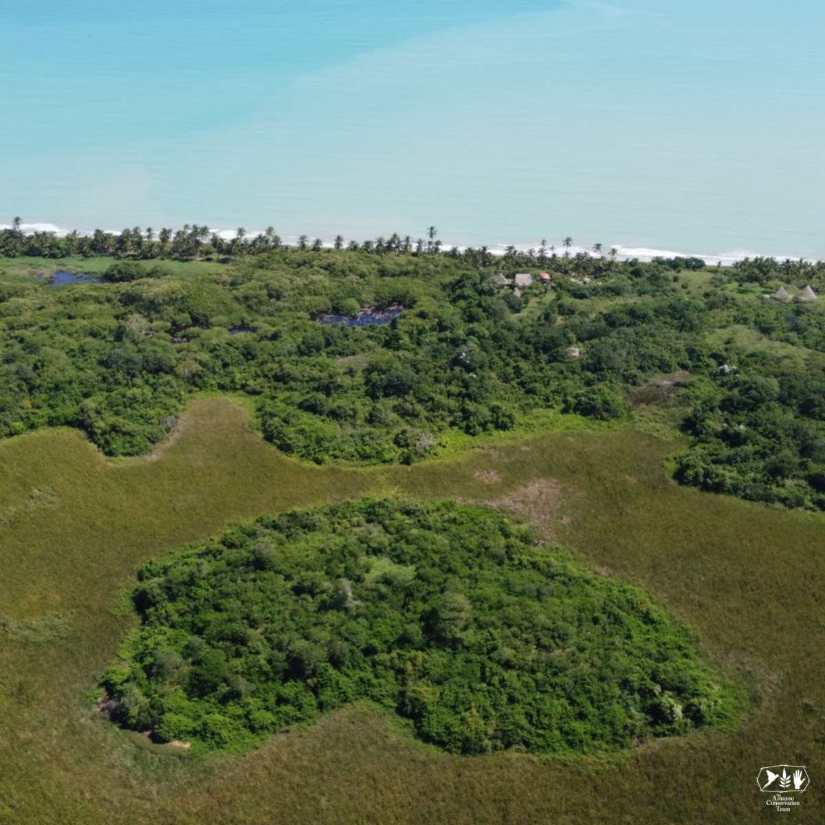 🌊 On the northern Caribbean coast of Colombia, indigenous groups of the Sierra Nevada of Santa Marta are working alongside our team to protect la Línea Negra (the Black Line) —a ring of #sacredsites with deep #cultural significance that defines the extent of their ancestral