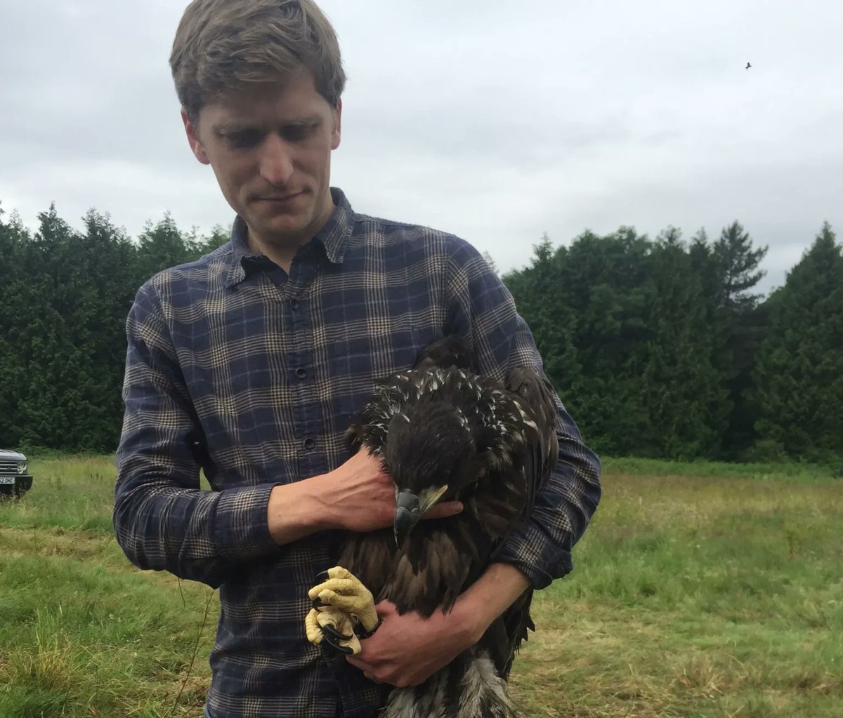 Join Dr Tim Mackrill at @CareysSecret on 8th February for a fascinating insight into the reintroduction projects of White-tailed Eagles and Ospreys🦅 ➡️ letsgoout-bournemouthandpoole.co.uk/whats-on/rewil… #dorset #dorsetevents #wareham #ospreys #whitetailedeagles #winterwatch