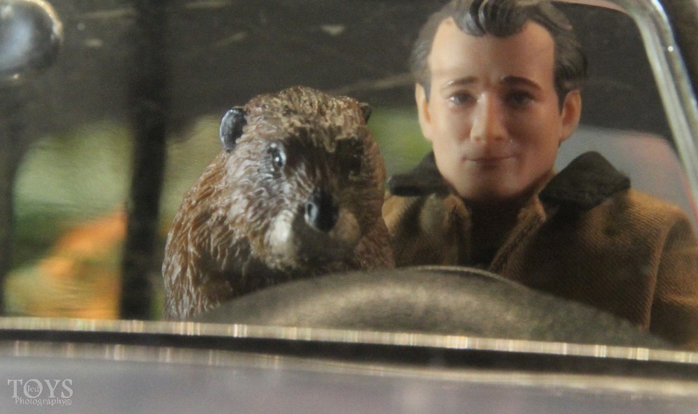 Jed_Underground's tweet image. C'est le Jour de la Marmotte ! Attention, Phil Connors a kidnappé la marmotte !! Mais que va-t-il en faire ?

#UnJourSansFin #HelloCampers #GroundhogDay #JourDeLaMarmotte #PunxsutawneyPhil #Punxsutawney #PhilConnors #HaroldRamis #BillMurray #ActionFigures #ToyPhoto