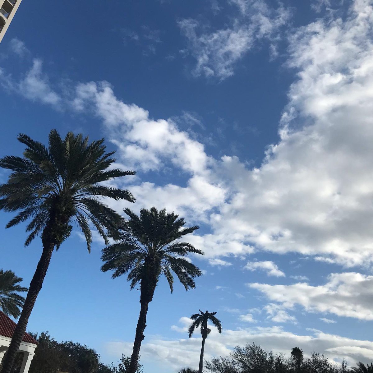 ScarifPodcast's tweet photo. Post your #IdRatherBeHere pics!
I’d rather be here somewhere warm with @SWations #WeAreRed5 https://t.co/6Hblx1rRhl