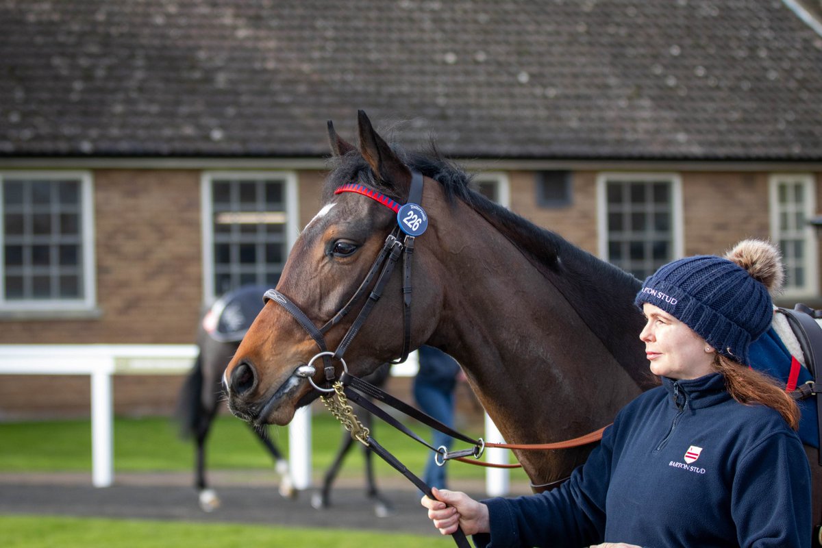 It was great to be back at Park Paddocks for the Tattersalls February Sale which was highlighted by Character Testing selling for 58,000gns to M Bringloe. Best of luck to all connections on their purchases in the future! #BartonStud #TattsFebruary #HorseRacing
