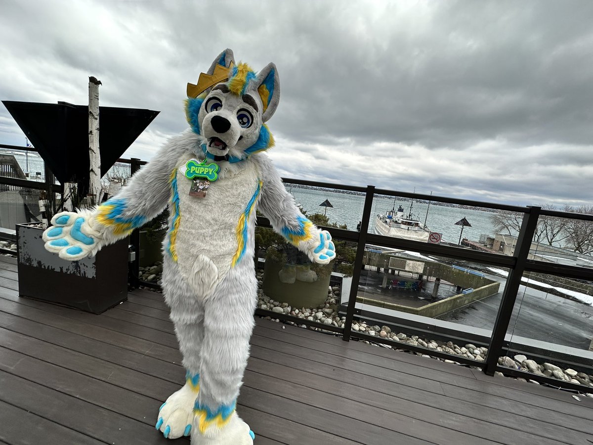 🎉Happy #FursuitFriday y’all! It’s 41 days until #FE24 what adorable floofs am I gonna see there? 👀👀
#fursuit #furryfandom #fursuiter