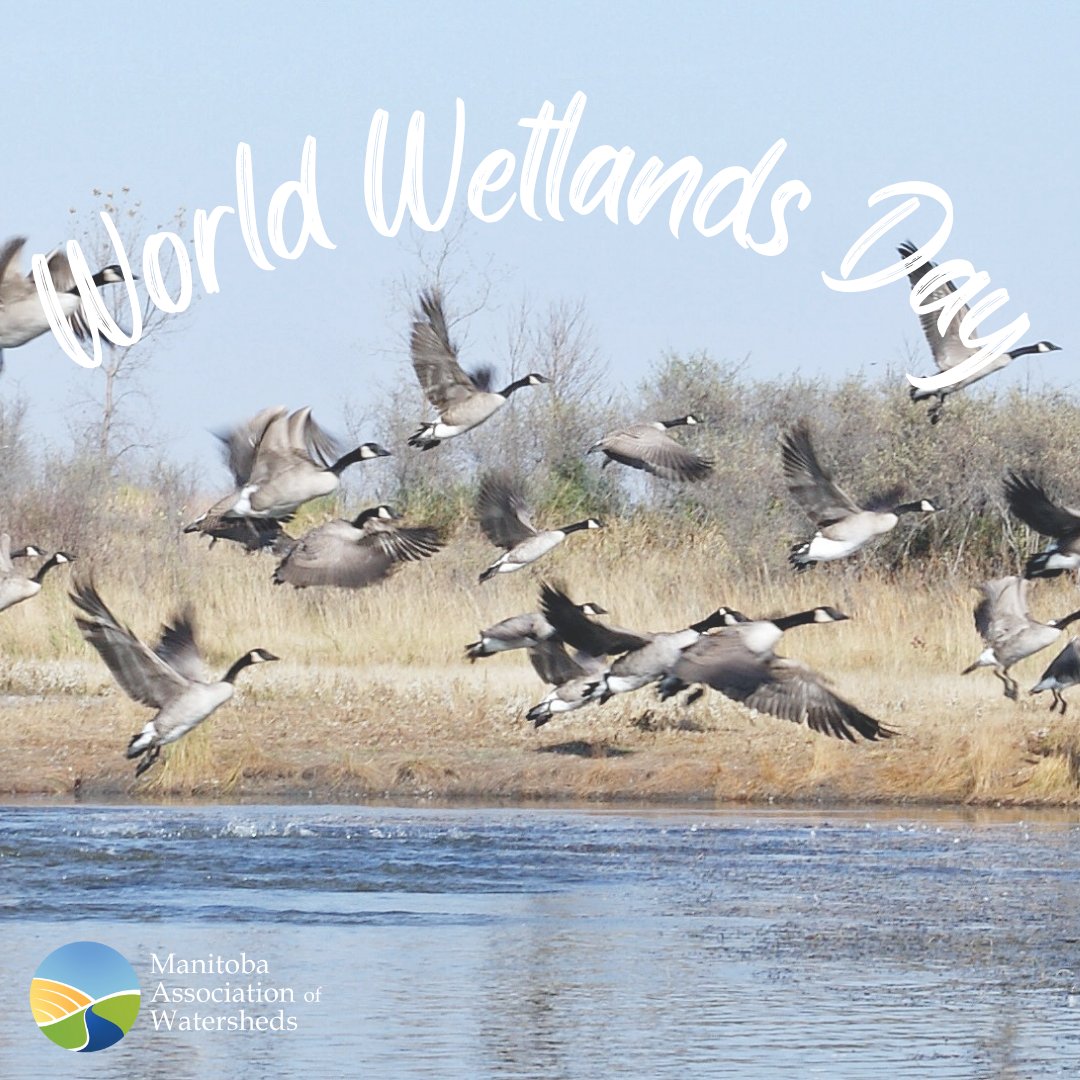 Manitoba Association of Watersheds tweet media