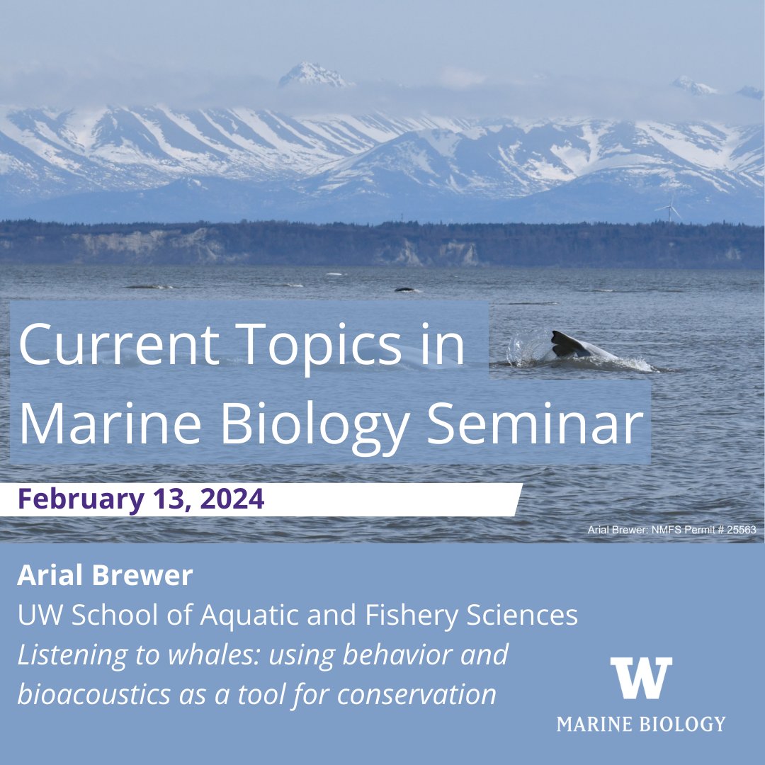 MarineBiologyUW's tweet photo. ♥ 🐳 It's Valentines Day this week and we all love whales right?! Join us tomorrow to hear from Arial Brewer from @UW_SAFS about her #research into using behavior and bioacoustics for #whaleconservation.

🗓 Tues Feb 13
🕒 2.30-3.20pm
📍 SAV 260

↪️https://t.co/Adf6amft2y https://t.co/S48lZhsvCo