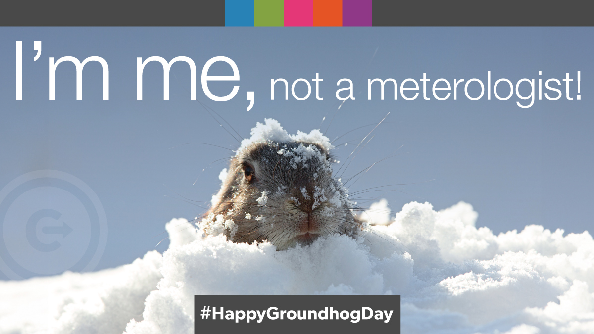 It’s that time of year when we predict the weather with a groundhog! According to Punxsutawney Phil, it’s an early spring for us. Don’t get too excited – according to the National Centers for Environmental Information, Phil has been right only 30% of the time in the last 10 yrs.