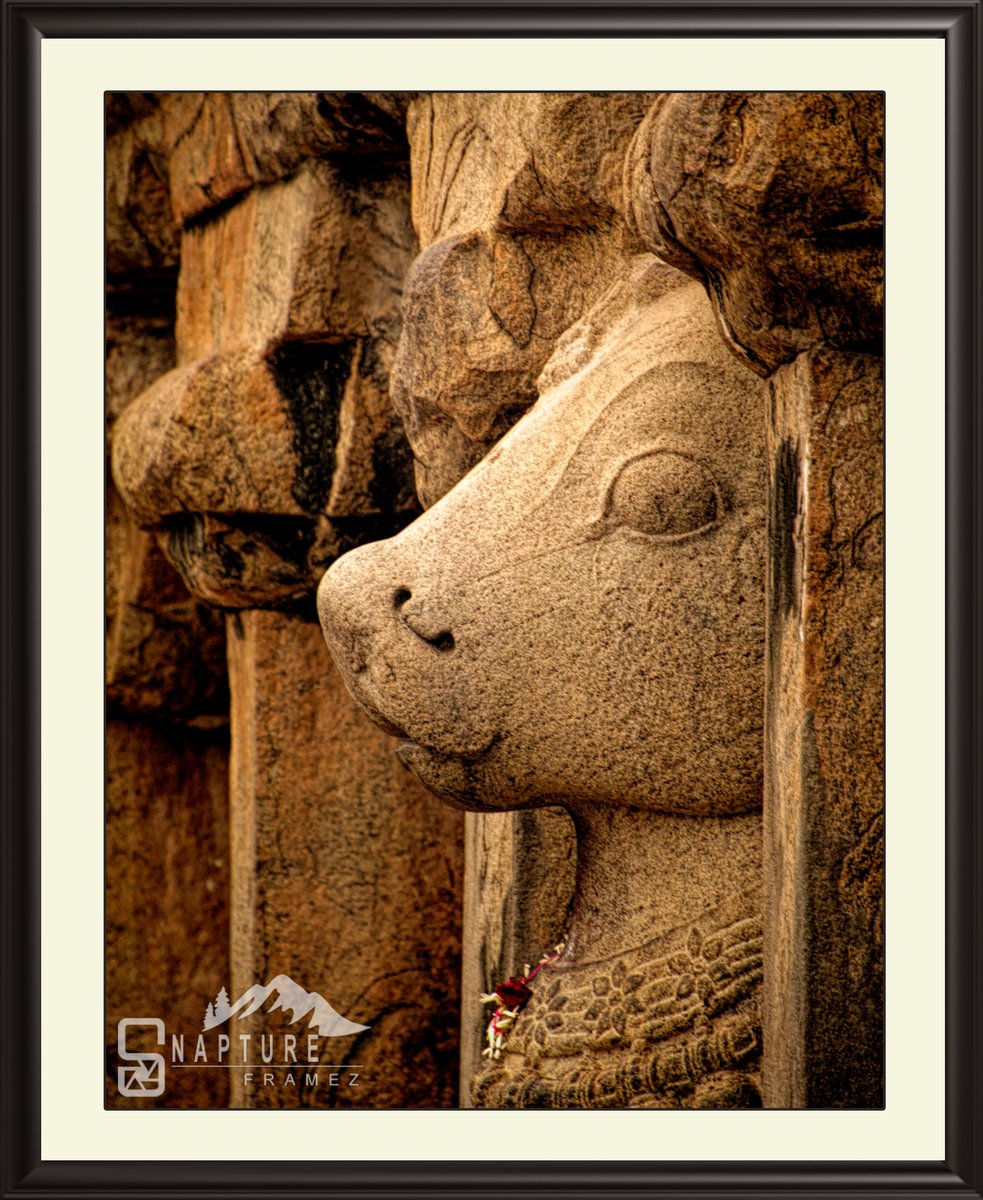 Stone Sculpture - Nandhi Statue, Brihadeeswara Temple, Thanjavur

#sculpture #monument #stonesculpture #architecture #history #ancientarchitecture #stonemonument #temple #bigtemple #stonecarving #canonindiaphotography #canonphotography #capturedoncanon #photooftheday #temple