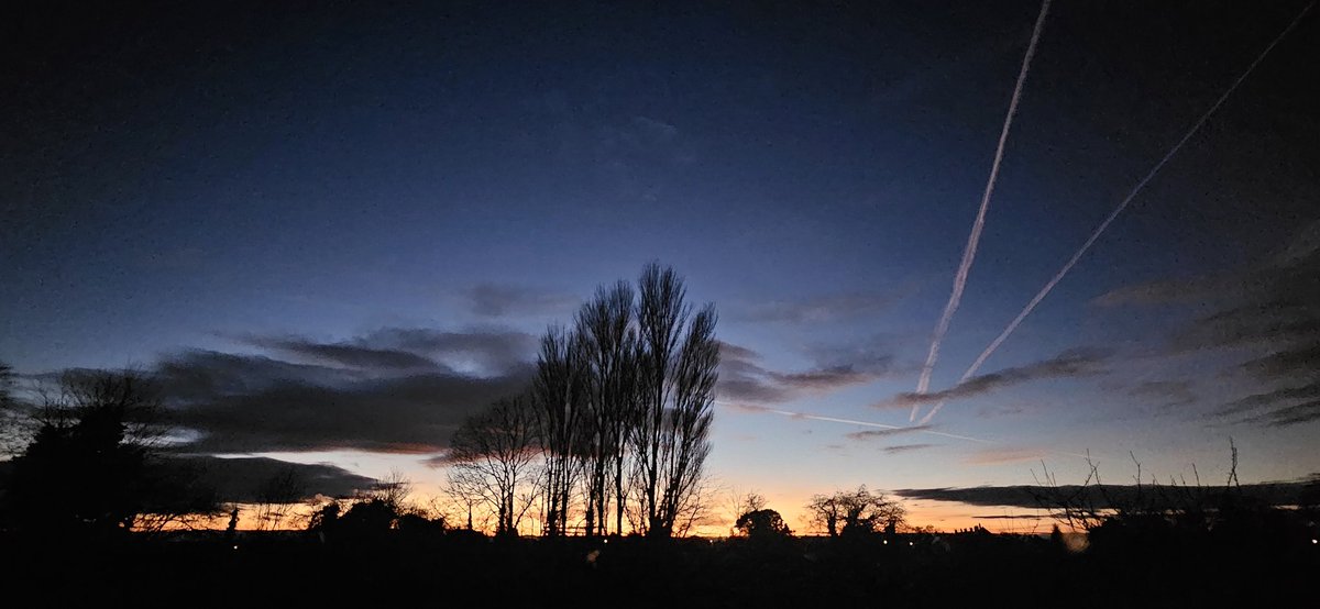 Poplar Evening Silhouette @LincsSkies #Lincolnshire #Sunset