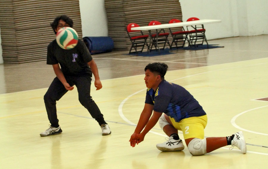 Con el propósito de conformar una selección Chiapas de voleibol competitiva, el #IndeporteChiapas y la Asociación de Voleibol, estarán realizando el proceso selectivo para ver a los mejores elementos e integrar el representativo chiapaneco rumbo a Nacionales Conade 2024.