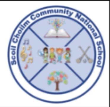LuttCC's tweet photo. Thank you to Scoil Choilm for inviting us to celebrate in their Community Day. #inclusively #diversity @ddletb @tulchann https://t.co/zbtmE4hxQJ