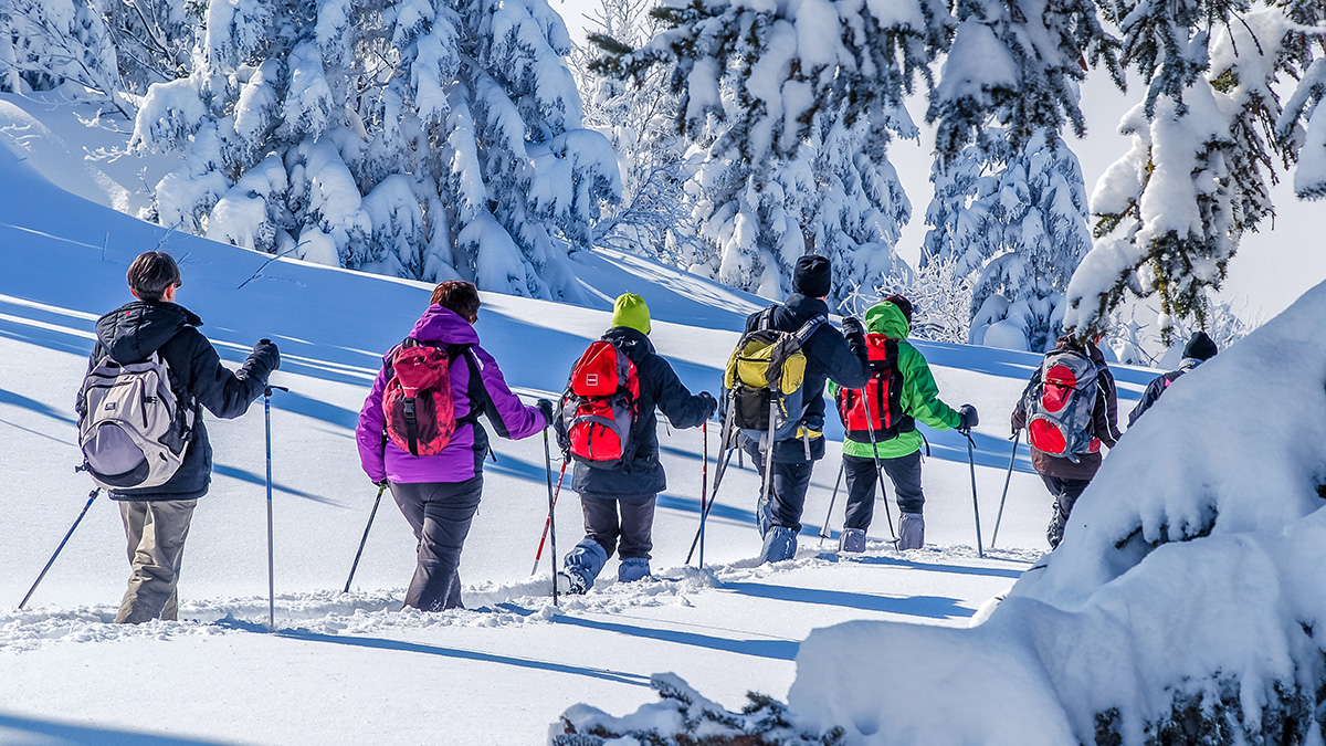 ALLtechBenefits's tweet image. Gain resources to safely get started with outdoor winter adventures and more seasonal wellness tips in @ALLtechBenefits’ monthly e-news: mailchi.mp/98e6828bfbd0/g…