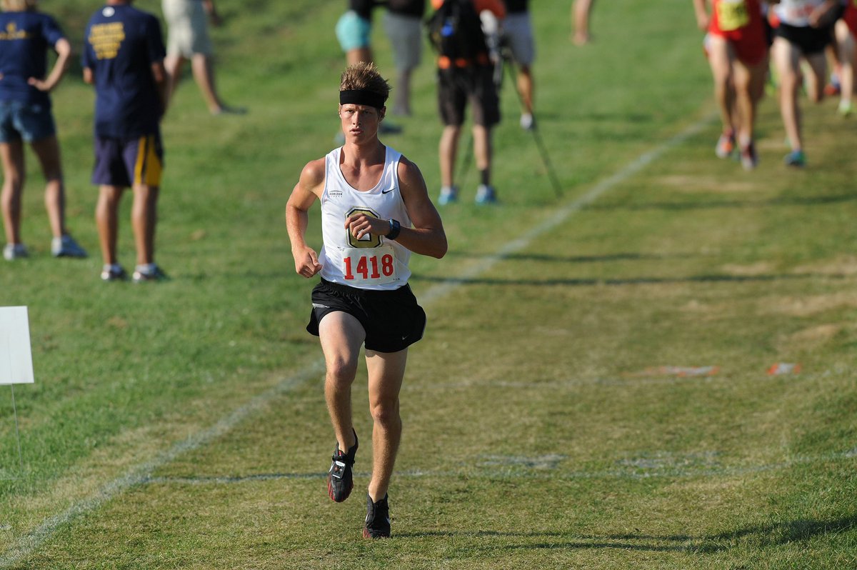 Golden Grizzlies tweet media