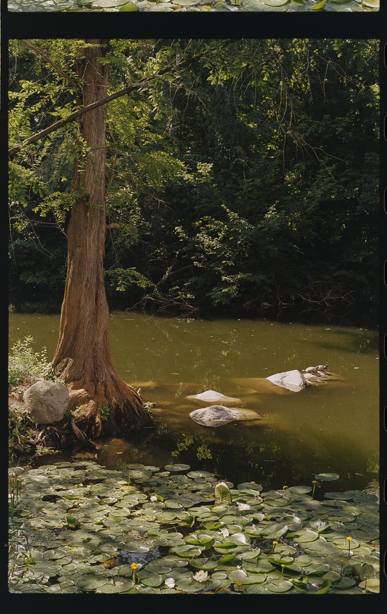 film favs from italy last year 🎞️ #kodak