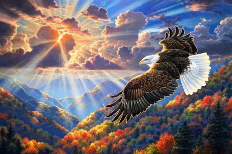 podkarpatka's tweet image. Wszystkim #Członkom #GRUPY #KotwicaHistorii 

Gdy widzisz ptaka w locie jak wolny jest 
Bo wolność - to nie cel lecz szansa by
Spełnić najpiękniejsze sny, marzenia 
Wolność - to ta najjaśniejsza z gwiazd 
Promyk słońca w gęsty las,nadzieja

fragm.piosenki Marka Grechuty Wolność