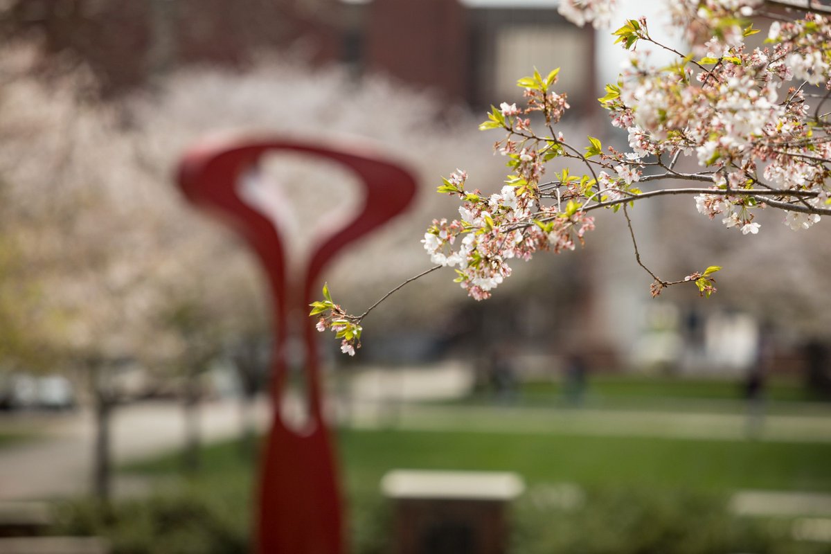 Spring is just around the corner, and you don't want to miss our cherry blossom views!
Schedule a campus tour of WKU and experience spring on one of the most beautiful campuses in the country and take the first step toward finding your perfect college fit. wku.edu/visitwku