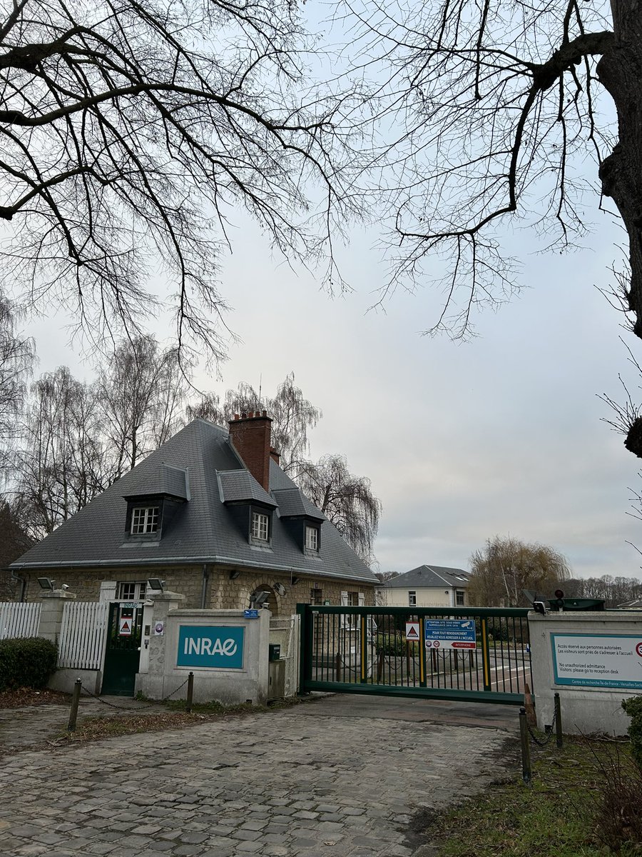 JaishriRDas's tweet image. Happy to share that I have joined as #Postdoctoral Researcher @ijpb_fr @INRAE_Intl Versailles, France.
I will be working on RNASEED project which is focused on understanding the role of #noncodingRNA during #seed dormancy in response to #temperature